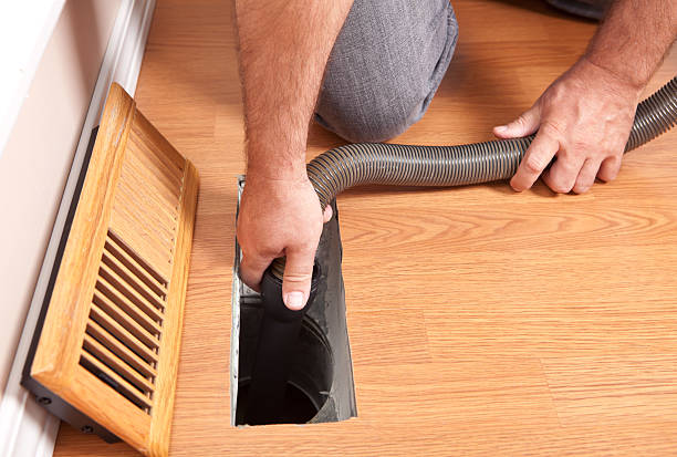 Air Duct Mold Removal in Limestone, IL